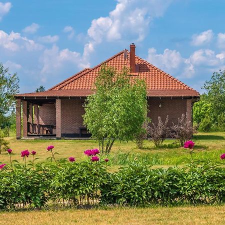 Prie Traku Βίλα Petkeniskes Εξωτερικό φωτογραφία